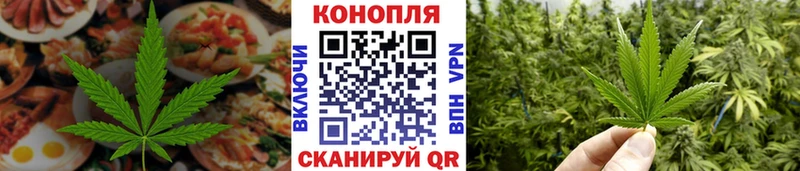 как найти   Суджа  Canna-Cookies марихуана 