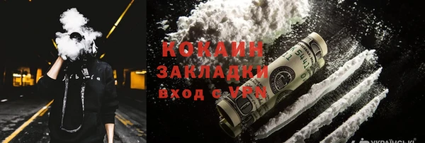 шишки Аркадак