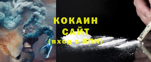 шишки Аркадак