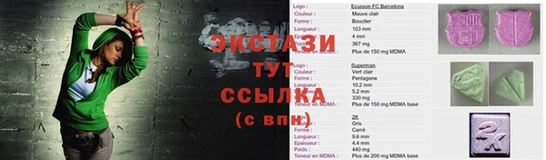 шишки Аркадак