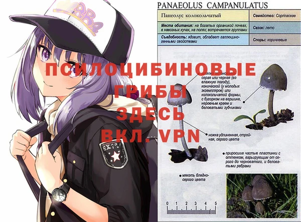 spice Армянск