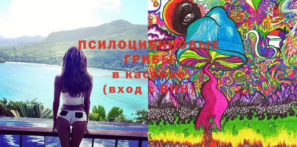 ешки Арсеньев