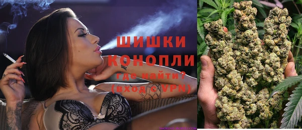 шишки Аркадак