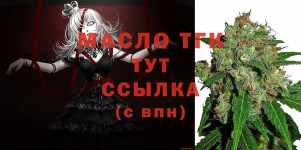 индика Баксан