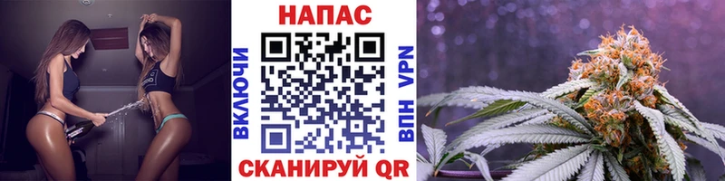 Конопля гибрид  Суджа 